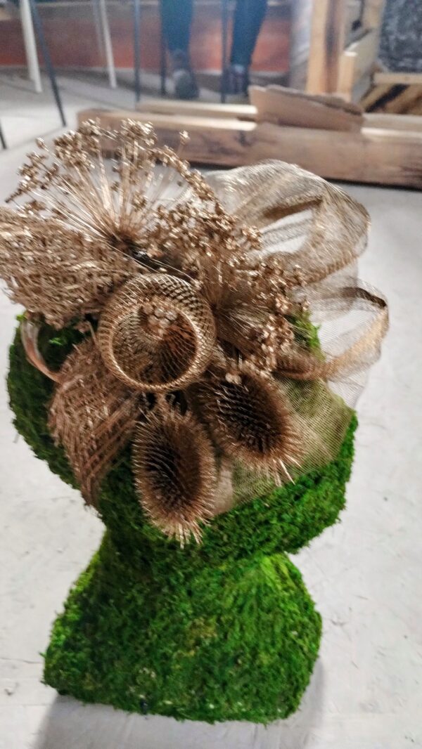 IMG_20240607_114326478~2 IMG_20240607_114326478~2