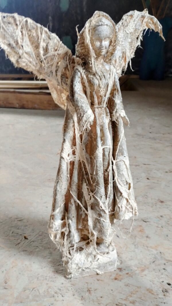 IMG_20240607_114706444~2 IMG_20240607_114706444~2