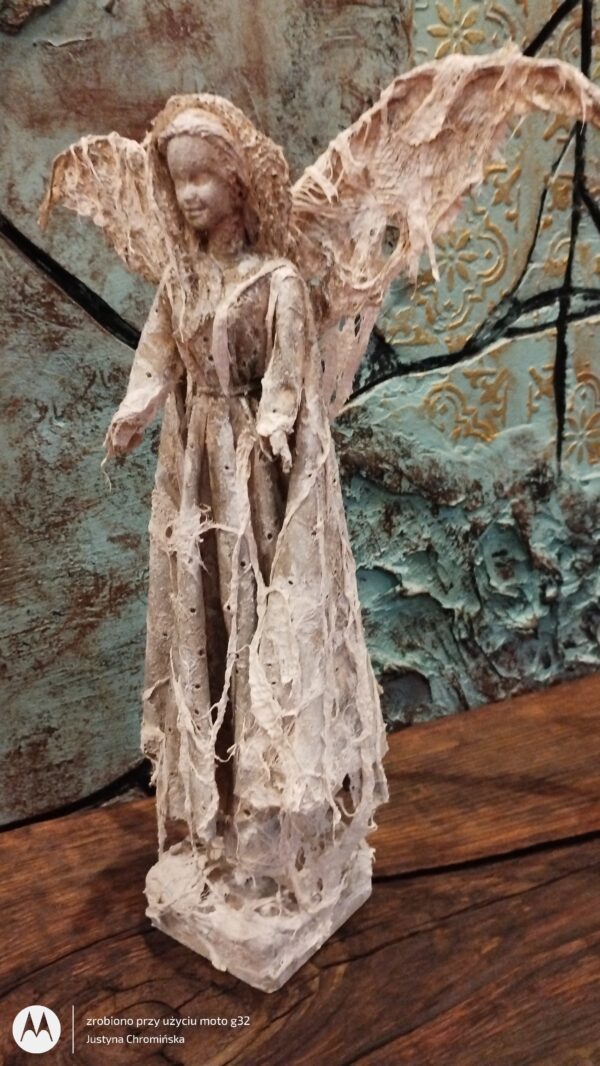 IMG_20240701_092802908 IMG_20240701_092802908