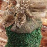 IMG_20240701_093559316