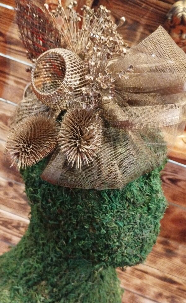 IMG_20240701_093559316 IMG_20240701_093559316