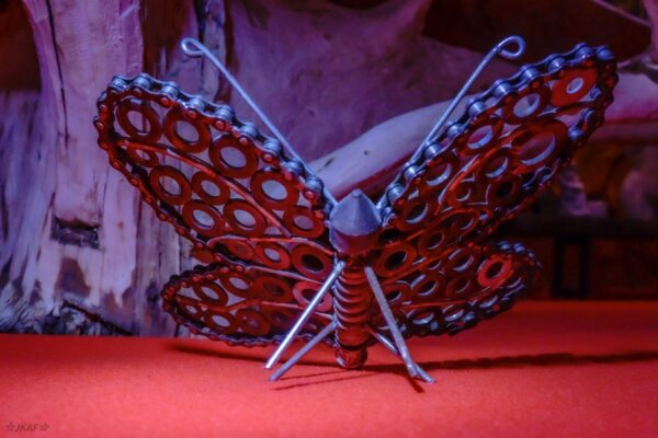 JKA04716 (1)k JKA04716 (1)k