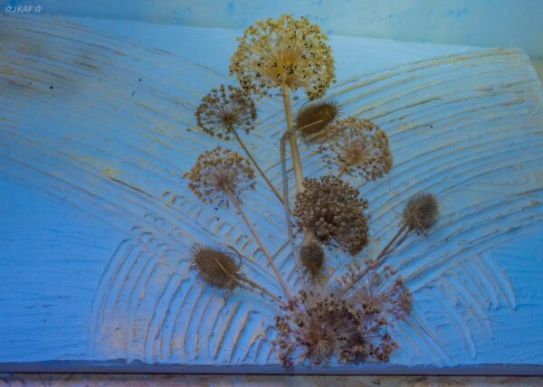 IMG-20240707-WA0037(1) IMG-20240707-WA0037(1)