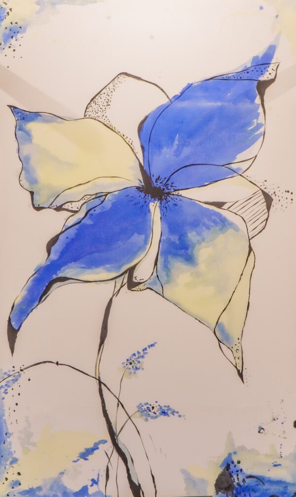 IMG-20240715-WA0097 IMG-20240715-WA0097