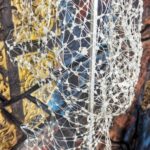 IMG_20241007_114211244~2