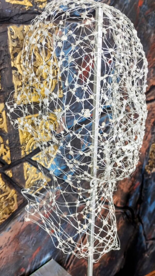 IMG_20241007_114211244~2 IMG_20241007_114211244~2