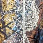 IMG_20241007_114216257~2