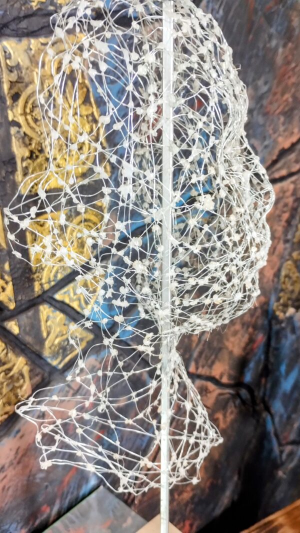 IMG_20241007_114216257~2 IMG_20241007_114216257~2