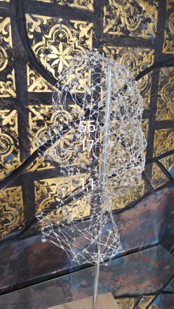 IMG_20241007_114250832~2 IMG_20241007_114250832~2